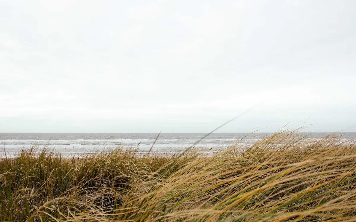 Bundesliga avec France IPTV